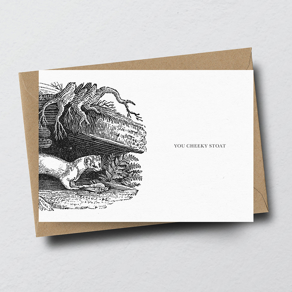 Stoat Animal Woodblock Greeting Card by Dig The Earth