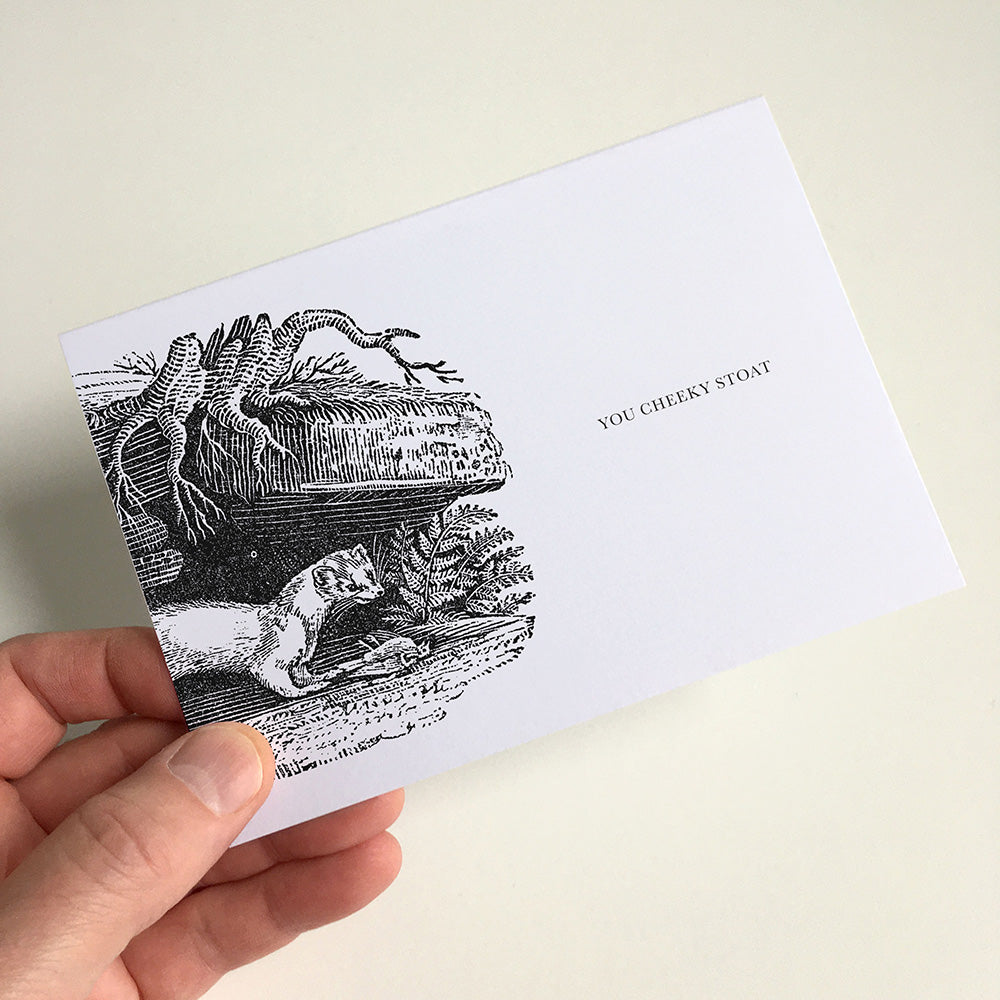 Stoat Animal Woodblock Greeting Card by Dig The Earth