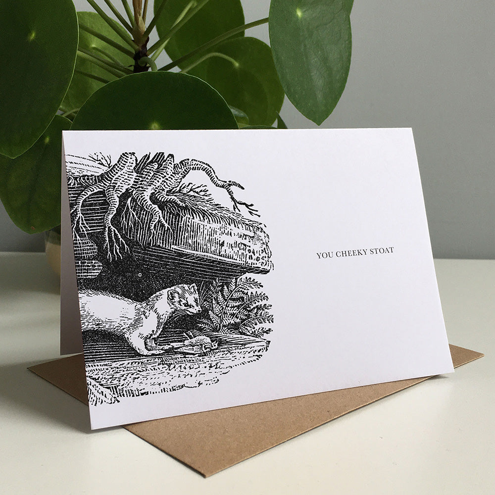 Stoat Animal Woodblock Greeting Card by Dig The Earth