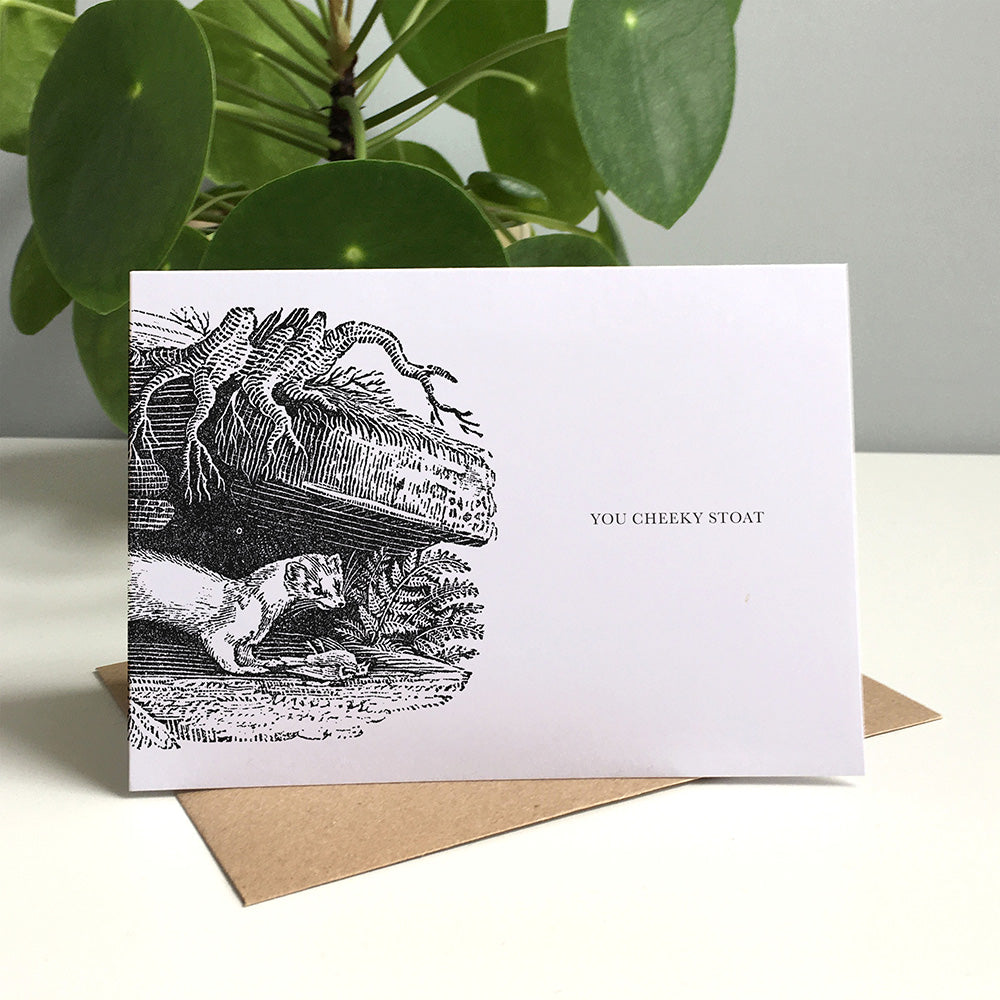 Stoat Animal Woodblock Greeting Card by Dig The Earth