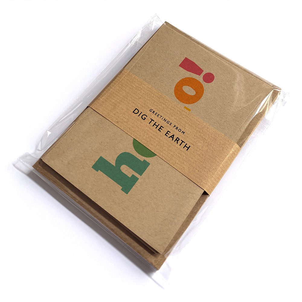 Hello Colourful Postcard Note Cards by Dig The Earth