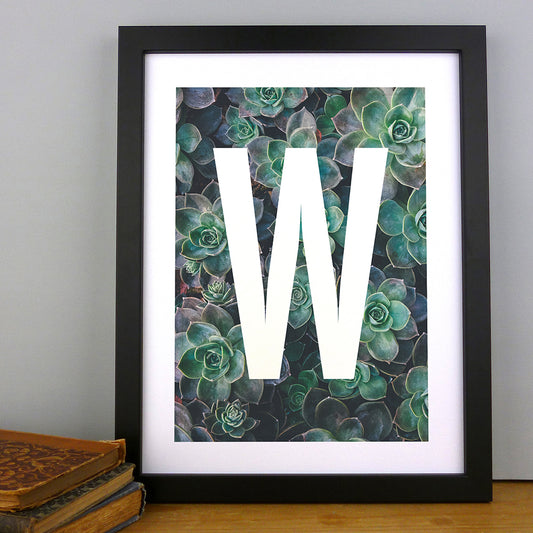 Succulent Plant Alphabet Art Print by Dig The Earth