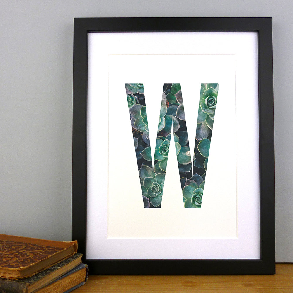Succulent Plant Alphabet Art Print by Dig The Earth