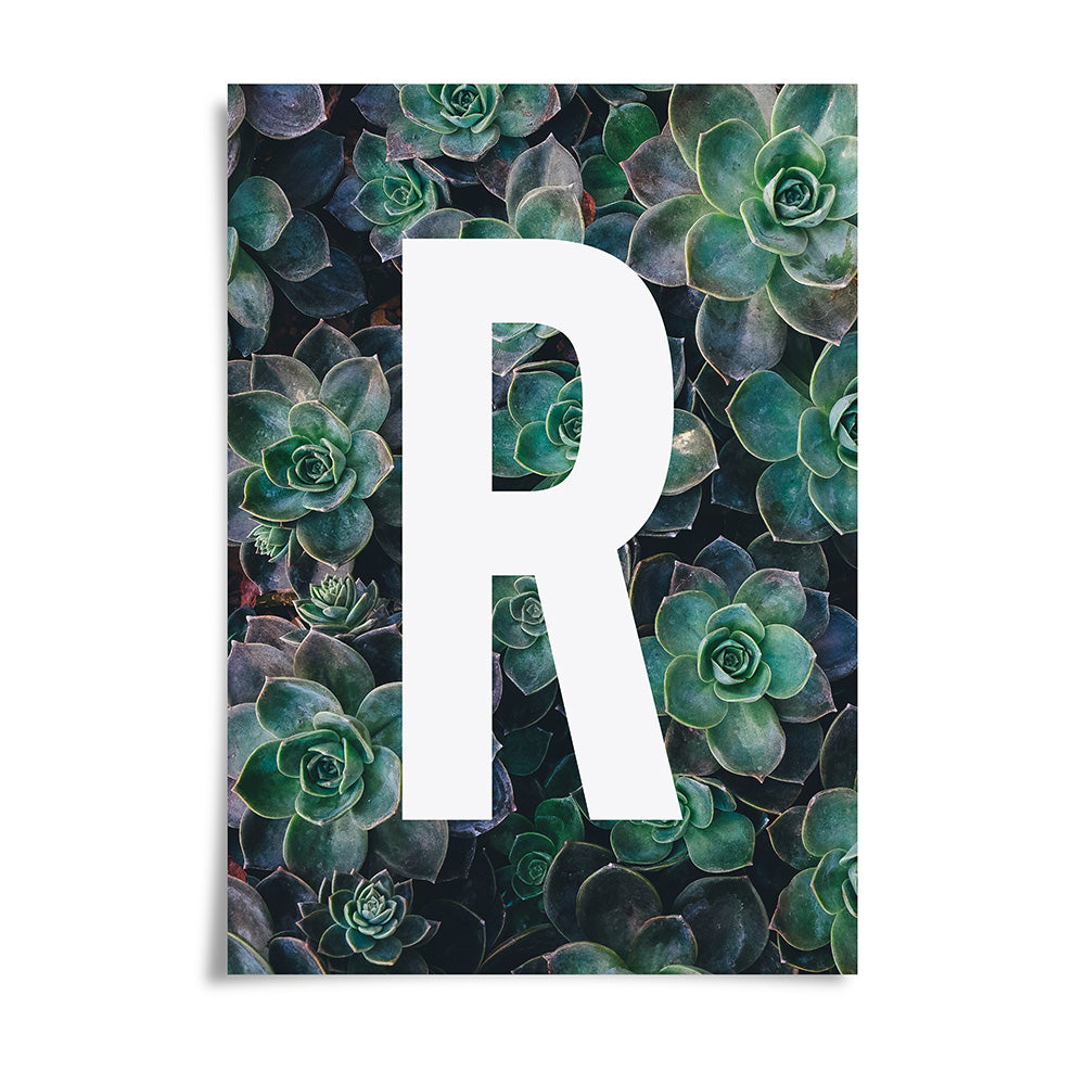 Succulent Plant Alphabet Art Print by Dig The Earth
