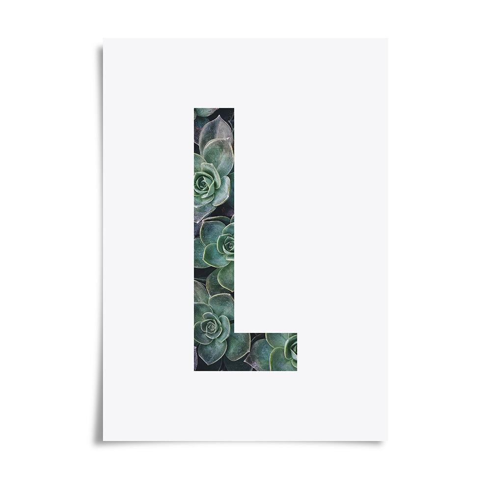 Succulent Plant Alphabet Art Print by Dig The Earth