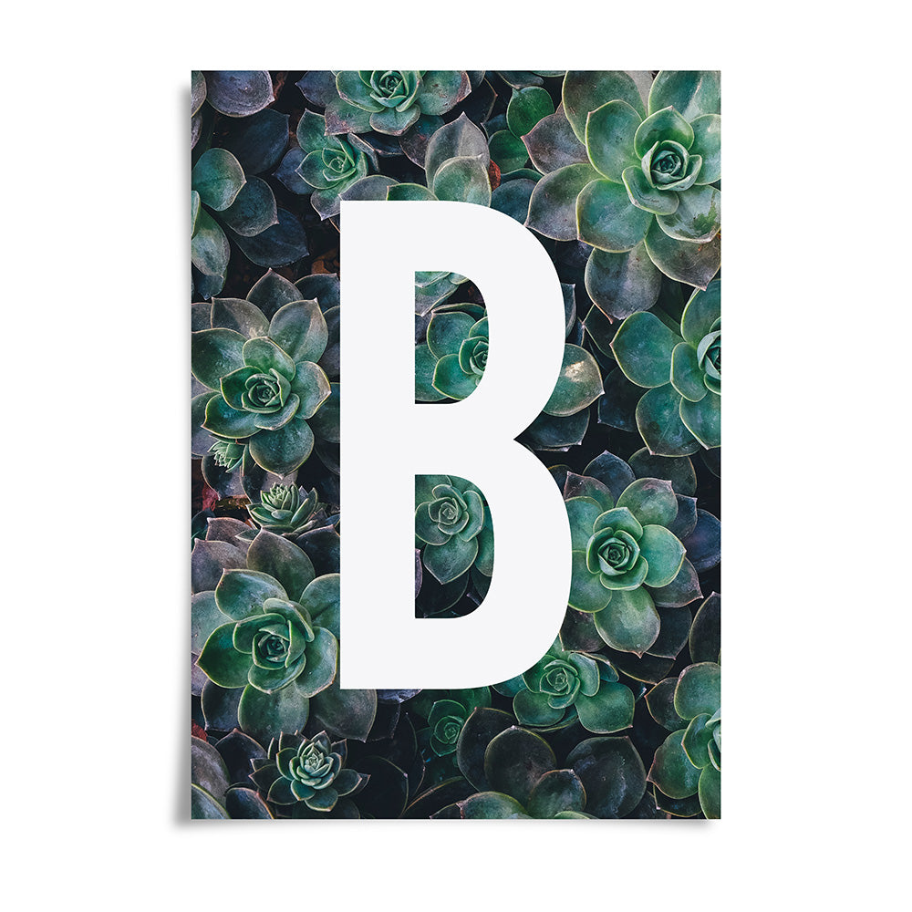 Succulent Plant Alphabet Art Print by Dig The Earth