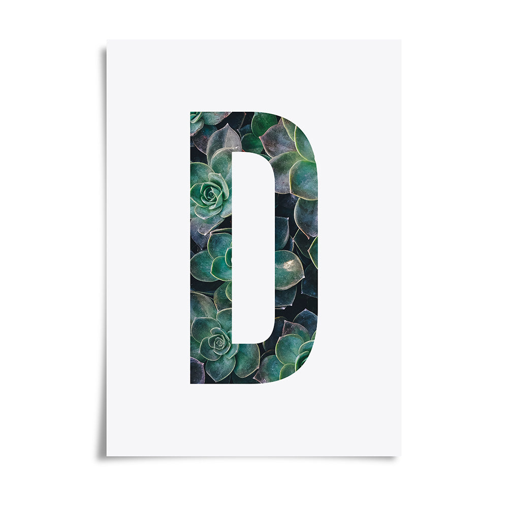 Succulent Plant Alphabet Art Print by Dig The Earth